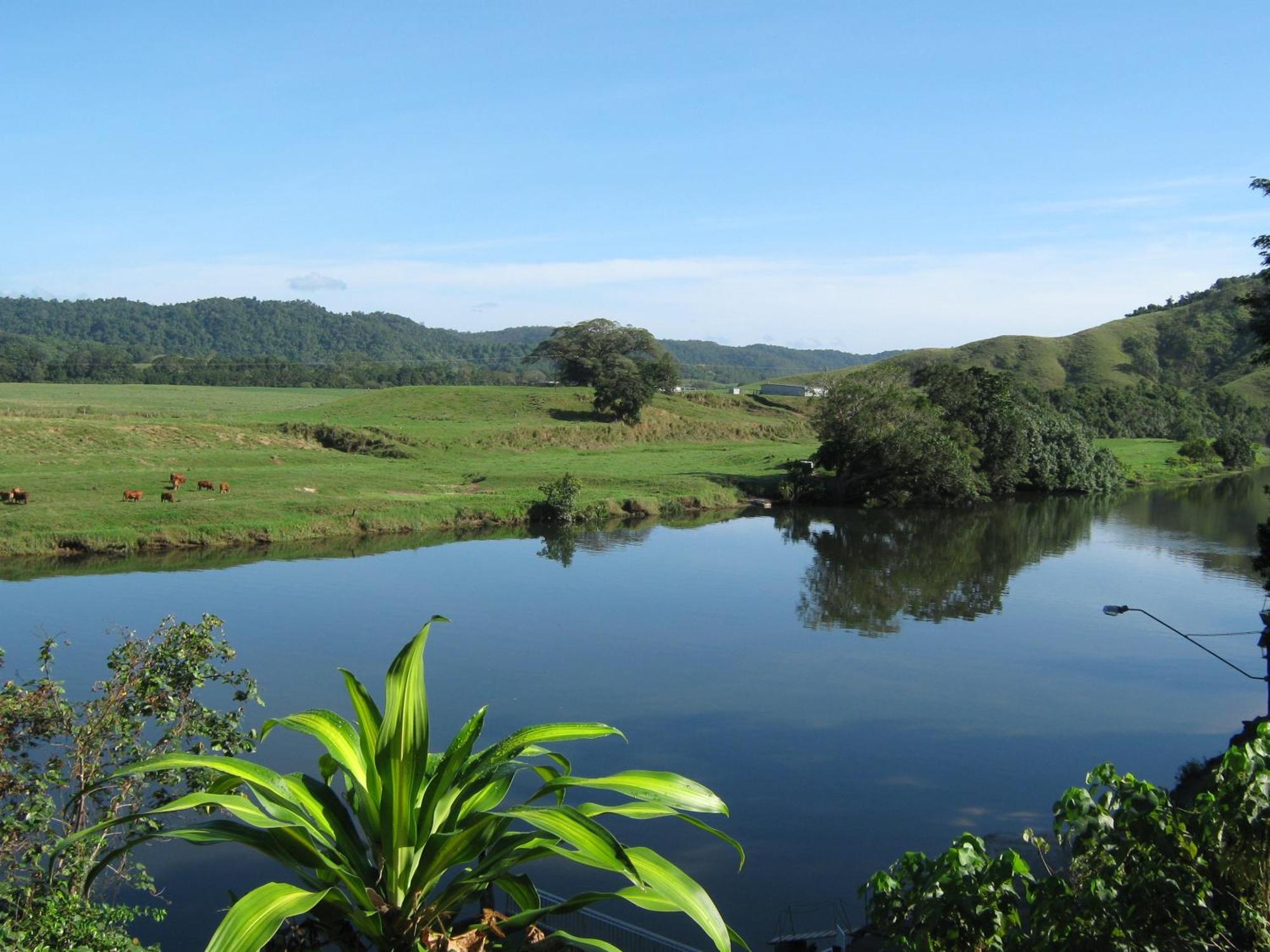 Daintree Riverview Lodges Exterior photo