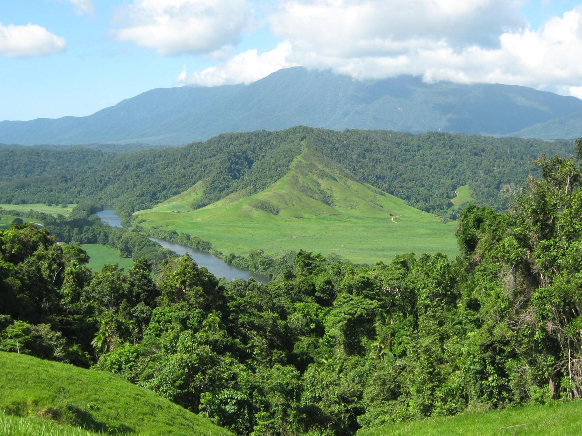 Daintree Riverview Lodges Exterior photo