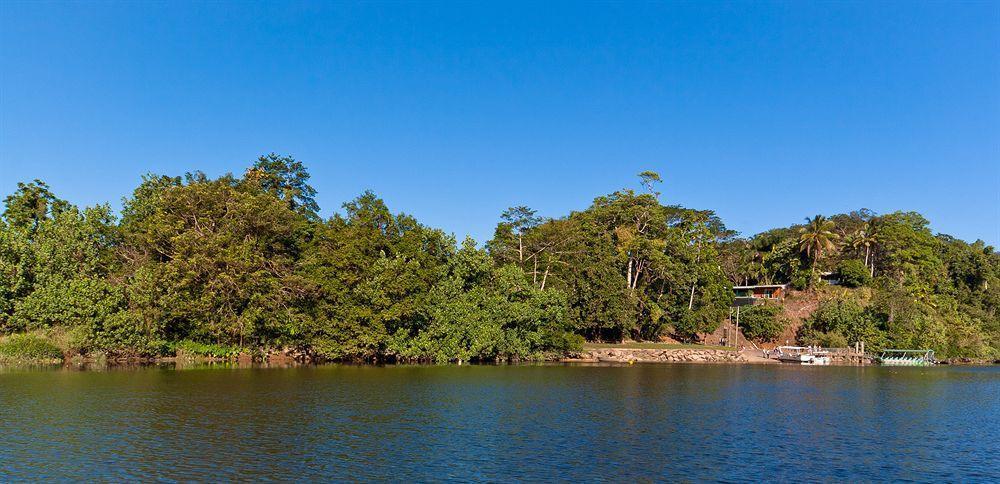 Daintree Riverview Lodges Exterior photo